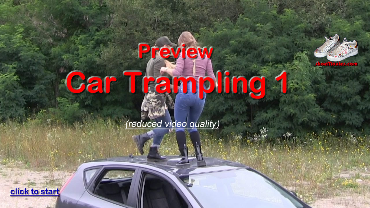 SampleClip